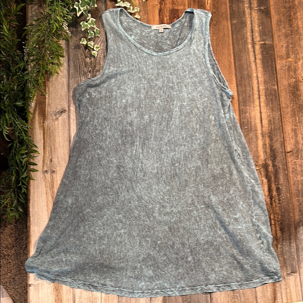 Sleeveless Blue Jess & Jane Dress / Tunic Sz Large
